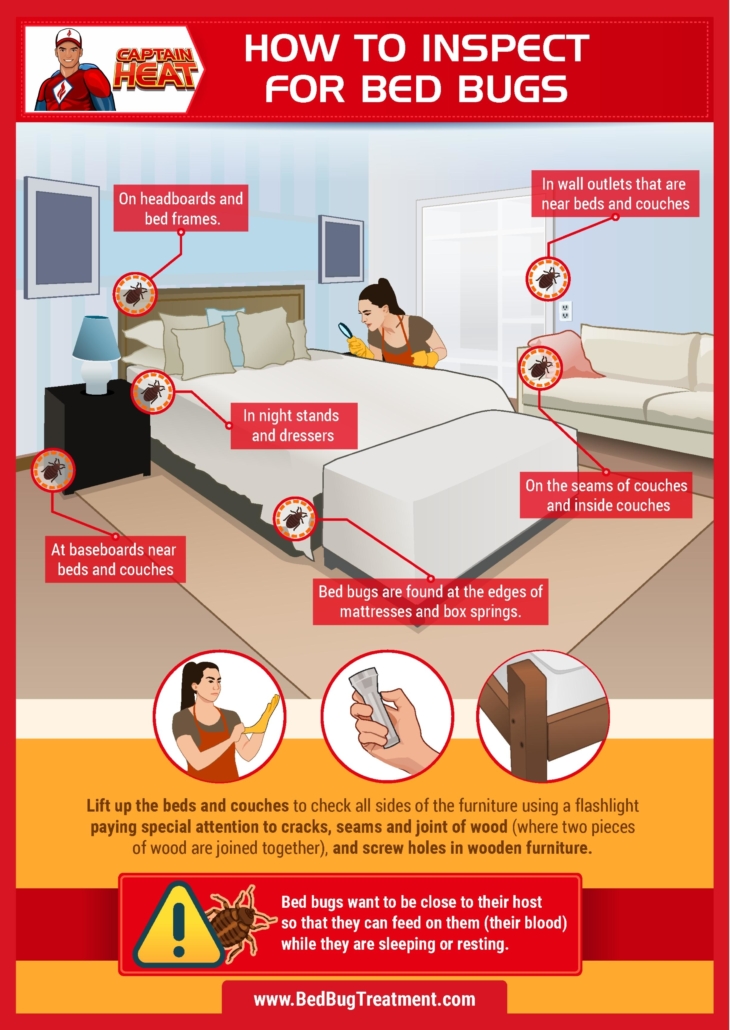 How to Inspect For Bed Bugs Infographic