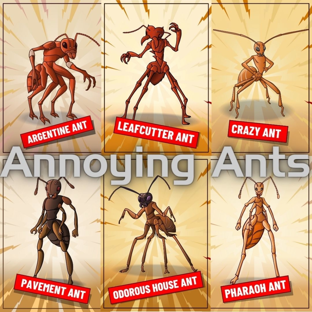 Annoying Ants Pest Control AZ, CA, TX