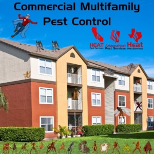 Multifamily pest control services in AZ, CA, and TX