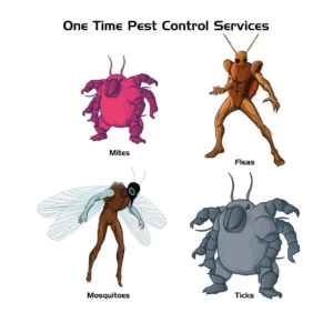 One Time Pest Control Services in AZ, CA, and TX